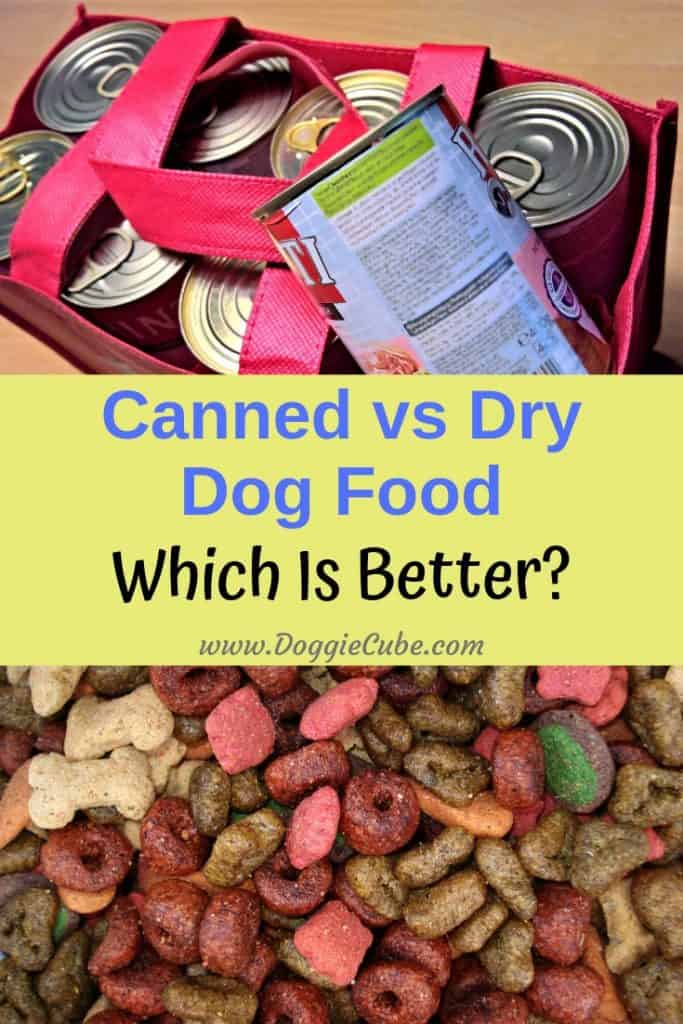 Canned vs dry dog food - Which is better? Before you decide on getting the best canned dog food or DIY some homemade dry dog food for your pet's diet, it's a good idea to compare both options. #dogdiet #dogfood