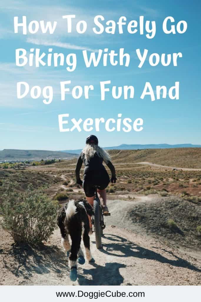 Biking with your dog.