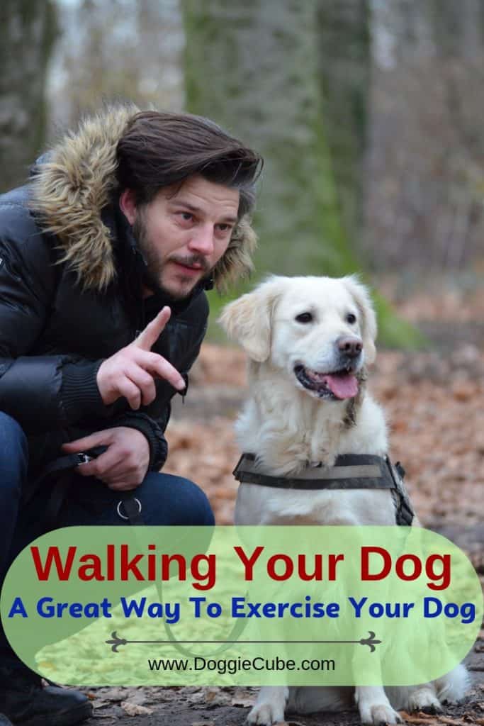 Walking your dog is a great way to exercise.