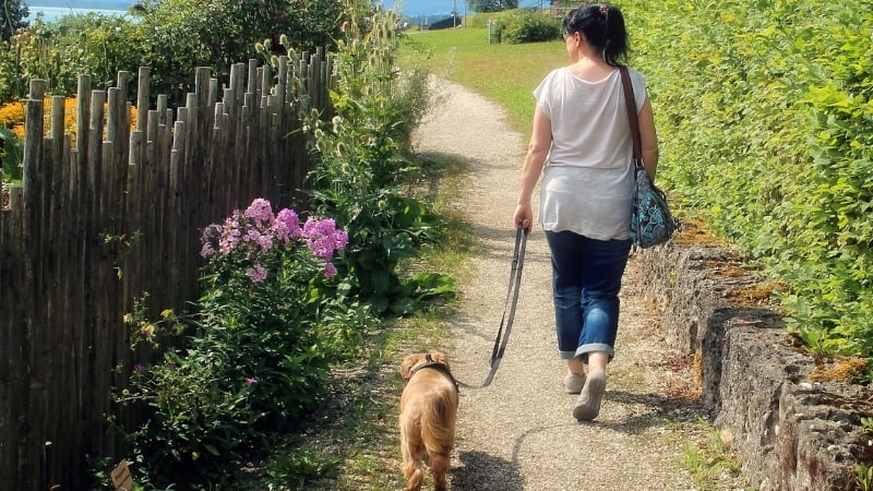 Woman taking her dog for a walk