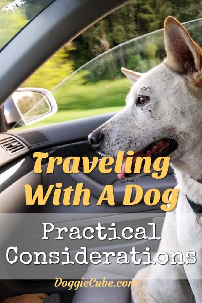 Traveling with a dog can be a smooth, stress free experience. Be it road trips in cars, camping trips or traveling in an airplane, we would love to bring our best friends along with us on our vacations with our families. Here are some practical tips to help you know what to expect so as to avoid potential pitfalls. #dogtravel #travelingwithadog