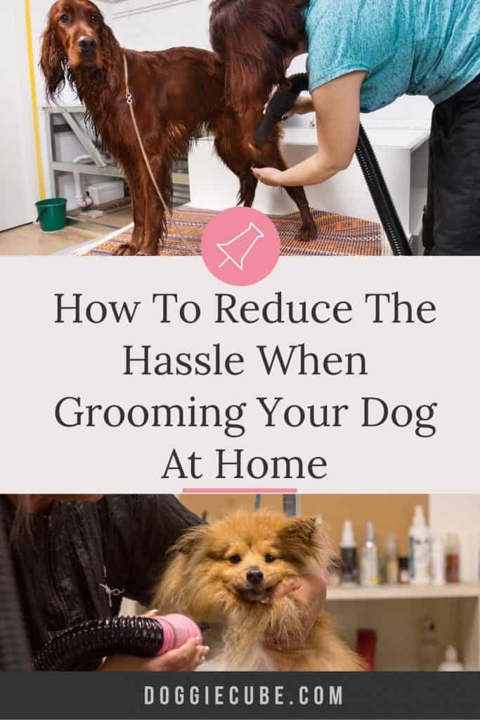 How To Reduce The Hassle When Grooming Your Dog At Home