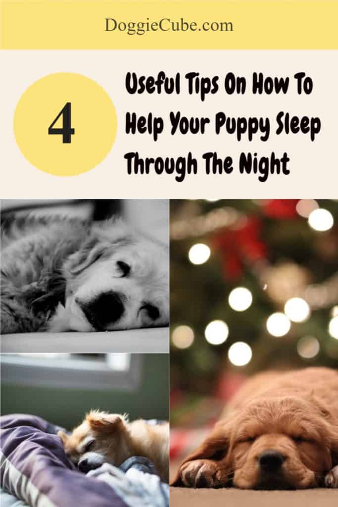 4 Useful Tips On How To Help Your Puppy Sleep Through The Night