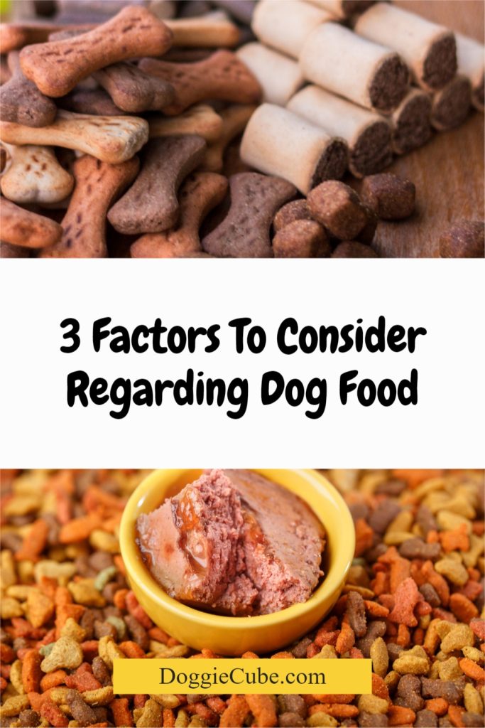 3 Factors To Consider Regarding Dog Food