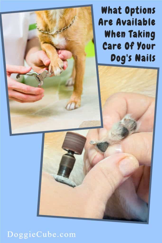 Dog Nail Care - 3 Available Options