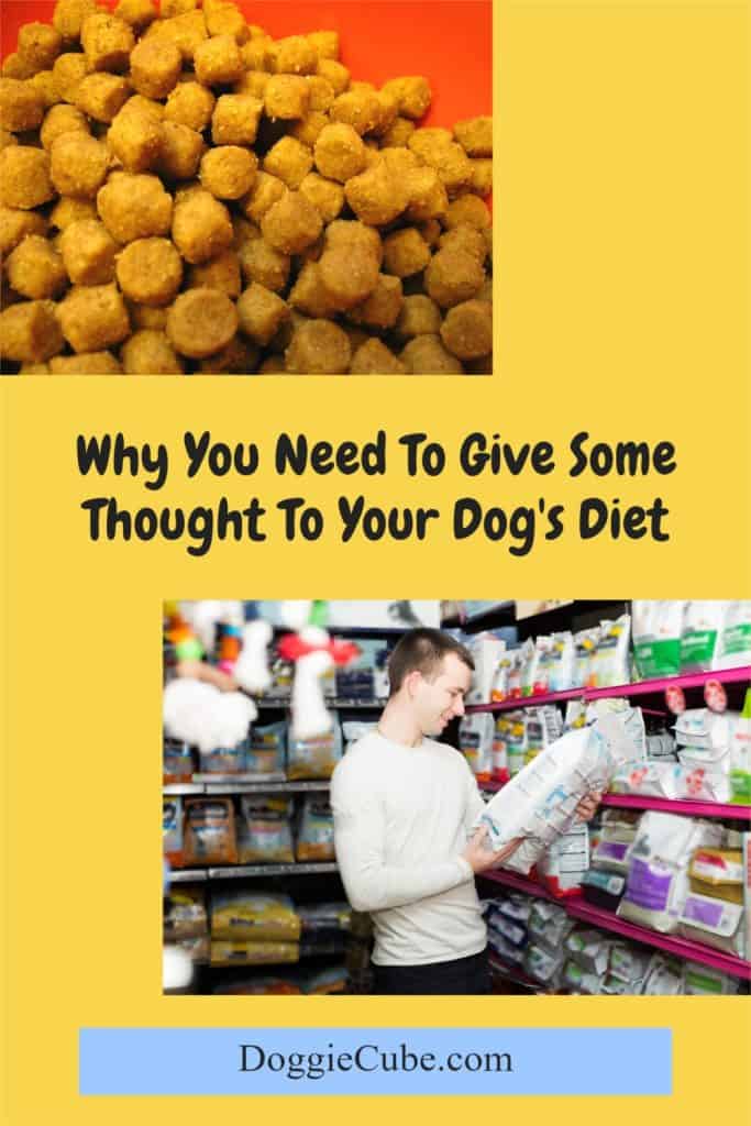 Why You Need To Give Some Thought To Your Dog's Diet?