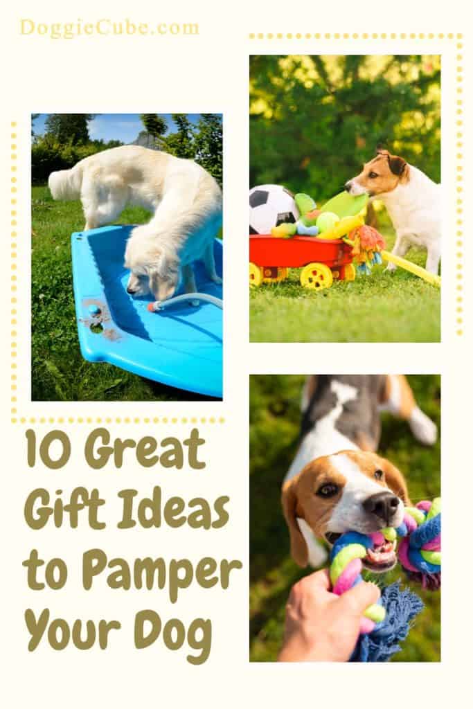 10 Great Gift Ideas to Pamper Your Dog