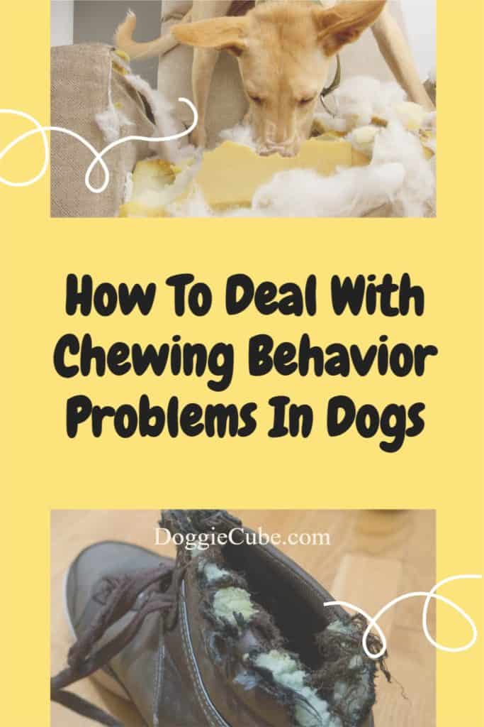 How To Deal With Chewing Behavior Problems In Dogs