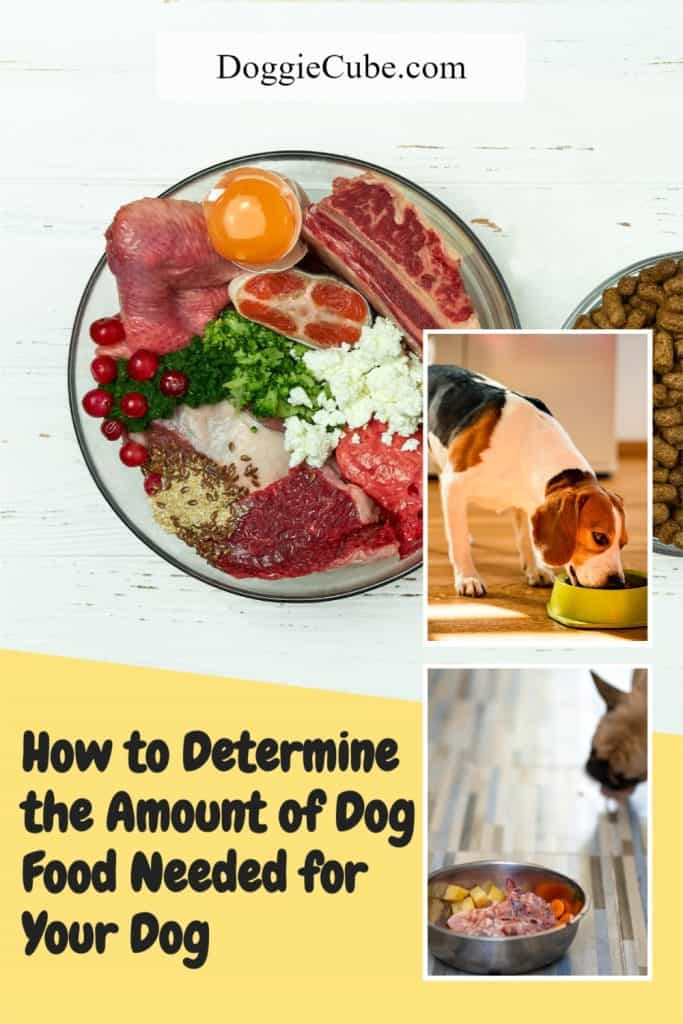 How to Determine the Amount of Dog Food Needed for Your Dog
