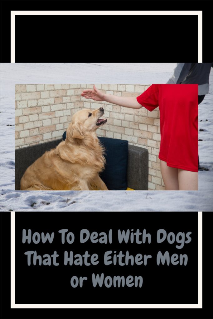 How To Deal With Dogs That Hate Either Men or Women